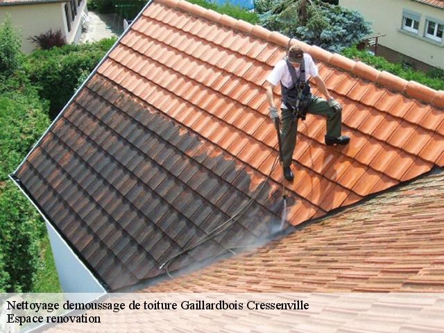 Nettoyage demoussage de toiture  gaillardbois-cressenville-27440 Espace renovation