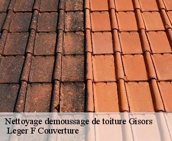 Nettoyage demoussage de toiture  27140