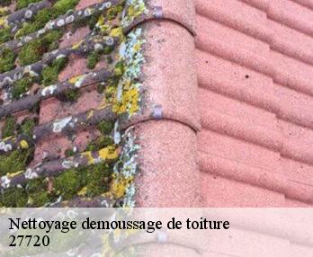 Nettoyage demoussage de toiture  27720