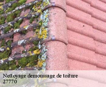 Nettoyage demoussage de toiture 27770