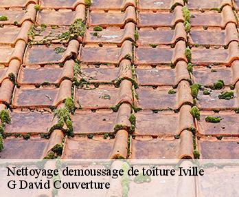 Nettoyage demoussage de toiture 27110