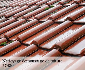 Nettoyage demoussage de toiture