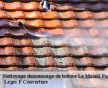 Nettoyage demoussage de toiture  le-mesnil-fuguet-27930  Leger F Couverture