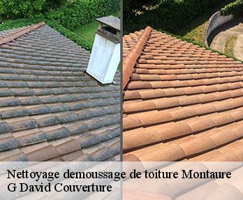 Nettoyage demoussage de toiture montaure-27400 G David Couverture