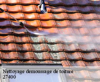 Nettoyage demoussage de toiture 27400