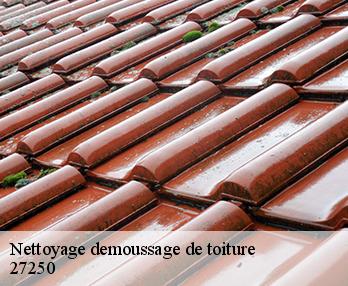 Nettoyage demoussage de toiture