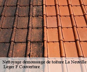 Nettoyage demoussage de toiture 27890