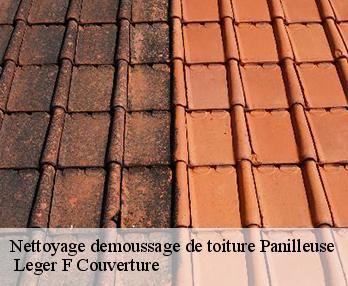 Nettoyage demoussage de toiture 27510