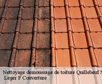 Nettoyage demoussage de toiture 27680
