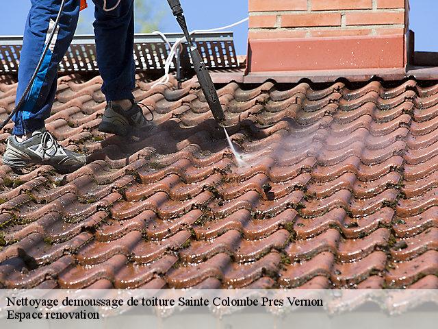 Nettoyage demoussage de toiture  27950