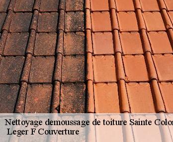 Nettoyage demoussage de toiture  27950