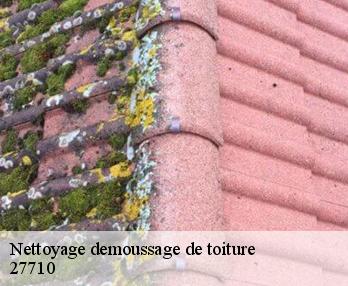 Nettoyage demoussage de toiture 27710