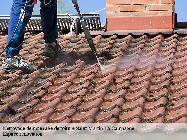 Nettoyage demoussage de toiture  27930