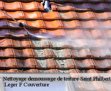 Nettoyage demoussage de toiture  saint-philbert-sur-risle-27290  Leger F Couverture
