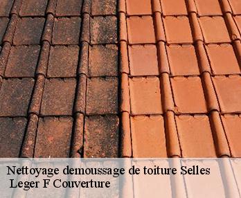 Nettoyage demoussage de toiture 27500