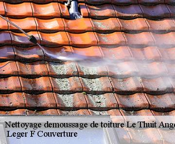 Nettoyage demoussage de toiture le-thuit-anger-27370 Couverture Sauvageot