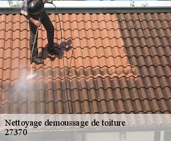 Nettoyage demoussage de toiture