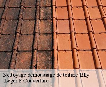 Nettoyage demoussage de toiture 27510