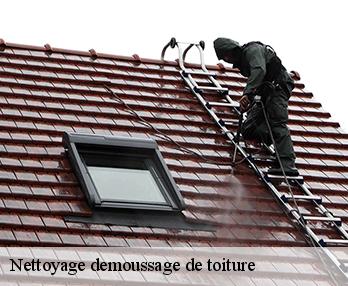 Nettoyage demoussage de toiture
