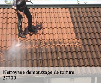 Nettoyage demoussage de toiture