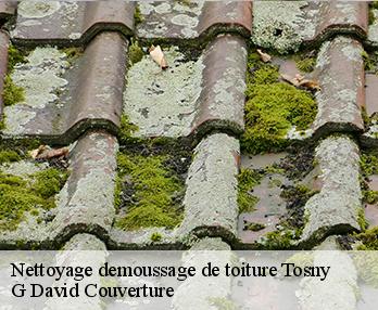 Nettoyage demoussage de toiture