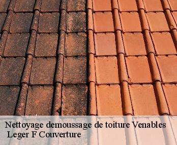 Nettoyage demoussage de toiture  27940