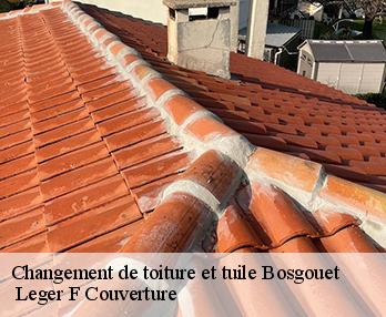 Changement de toiture et tuile 27310