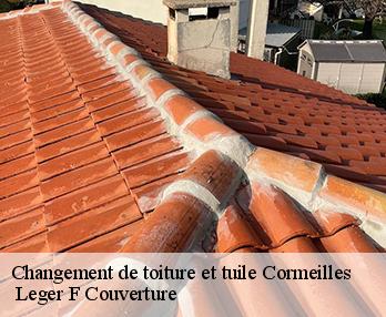 Changement de toiture et tuile 27260