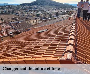 Changement de toiture et tuile  27930