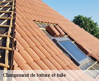 Changement de toiture et tuile