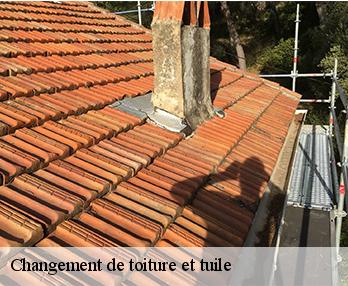 Changement de toiture et tuile
