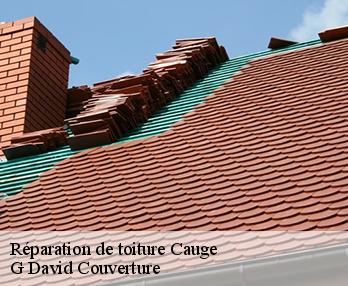 Réparation de toiture cauge-27180 G David Couverture