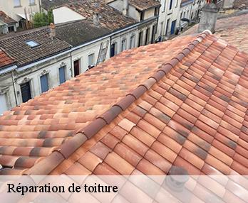 Réparation de toiture  27300