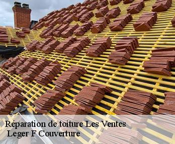Réparation de toiture 27180