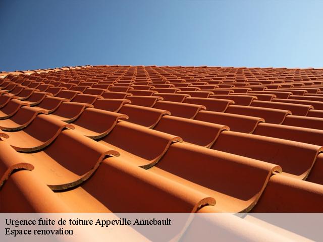 Urgence fuite de toiture  appeville-annebault-27290 Espace renovation