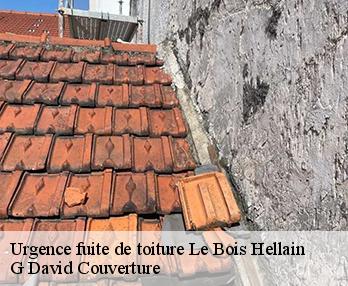 Urgence fuite de toiture  le-bois-hellain-27260 G David Couverture