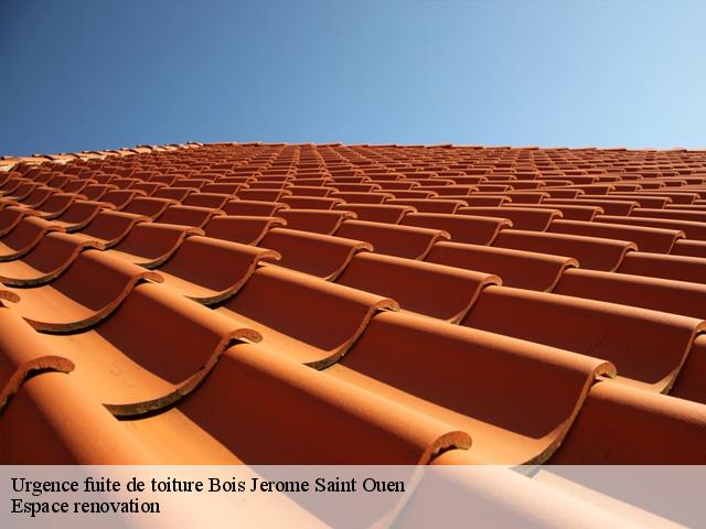 Urgence fuite de toiture  bois-jerome-saint-ouen-27620 Espace renovation