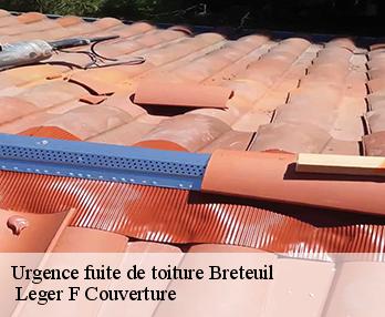 Urgence fuite de toiture  27160