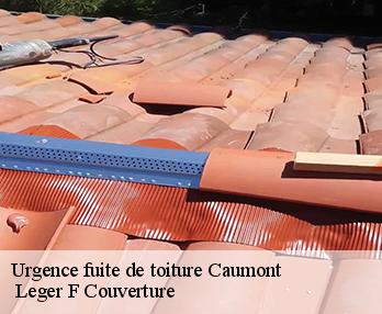 Urgence fuite de toiture 27310
