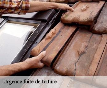 Urgence fuite de toiture  27820