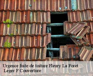 Urgence fuite de toiture  fleury-la-foret-27480  Leger F Couverture