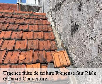 Urgence fuite de toiture  freneuse-sur-risle-27290 G David Couverture