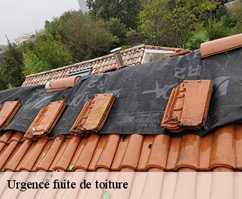 Urgence fuite de toiture