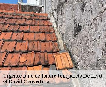 Urgence fuite de toiture  jonquerets-de-livet-27410 G David Couverture