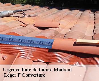Urgence fuite de toiture 27110