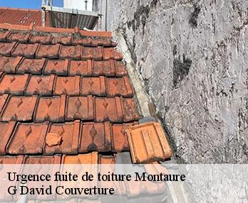 Urgence fuite de toiture  montaure-27400 G David Couverture