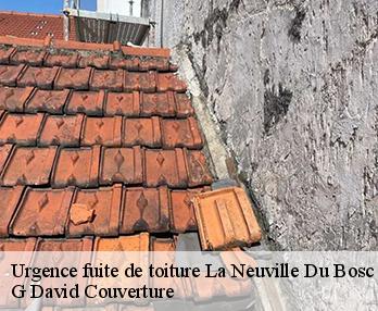 Urgence fuite de toiture la-neuville-du-bosc-27890 G David Couverture
