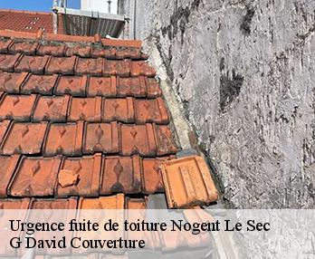 Urgence fuite de toiture  nogent-le-sec-27190 G David Couverture