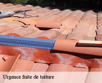 Urgence fuite de toiture  27370