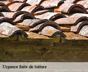 Urgence fuite de toiture